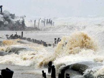 mohasen-20170530144501