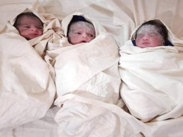 image-201458-1631108262