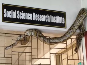 চট্টগ্রাম বিশ্ববিদ্যালয়ের গবেষণা কেন্দ্রের জানালায় ১২ ফুট লম্বা অজগর!