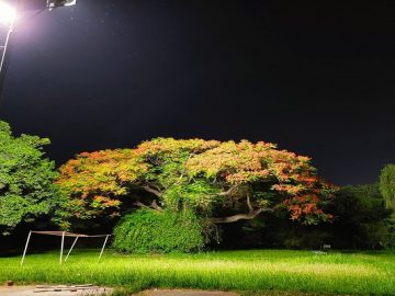 280203243_3051568905104853_1367130010336651721_n