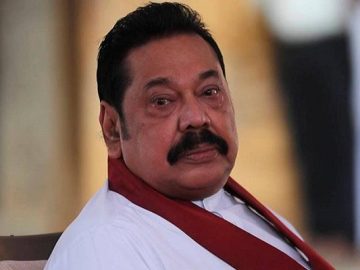 78261bf1-b2bb-4757-bab1-799094c73df6_nn