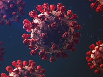 1651740592.corona-BG