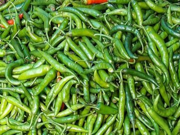 1657859676.1598017035_64