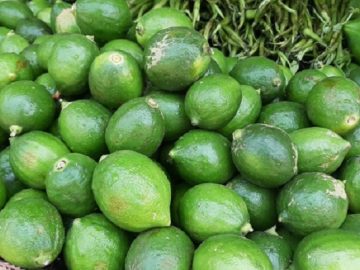 20210304_131759-2103310927