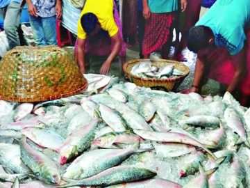 Untitled-9-samakal-614b86b983def