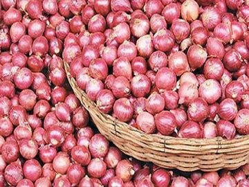 a4c4b487-ad0f-43f8-a68c-953d443c6f08_nn