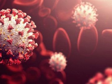 f20f68a3-eef8-4905-bb18-ea1ca81beec2_nn