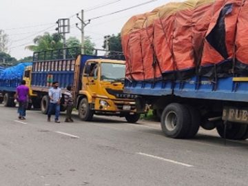 image-191431-1656047002