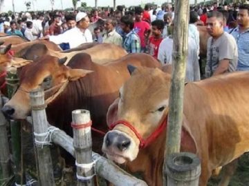 image-267624-1656257561