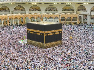 image-43295-1653396247