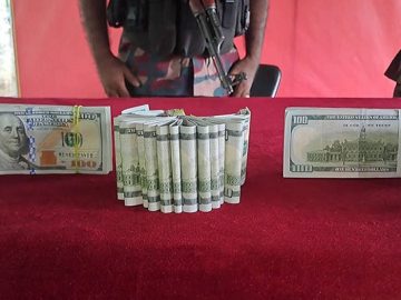 1659523718.VideoCapture_20220803-163501