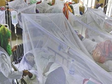 image-196175-1659355692