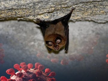 KHOSTA-2-VIRUS-CORONA