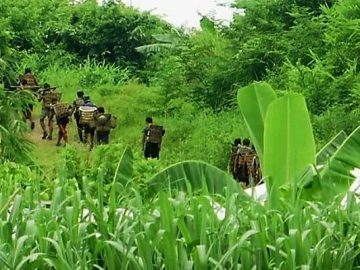 image_380x240_63186d51eaec0