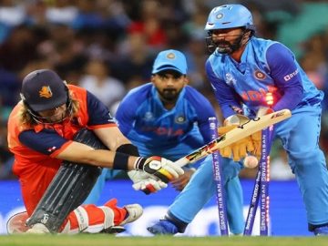 image-196479-1666866231