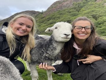 image-196729-1667033103