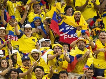 1669020041_ecuador-fan