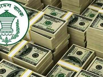 image-198388-1668032494