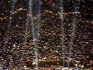 image-201093-1669712473