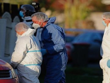 image-201101-1669715489