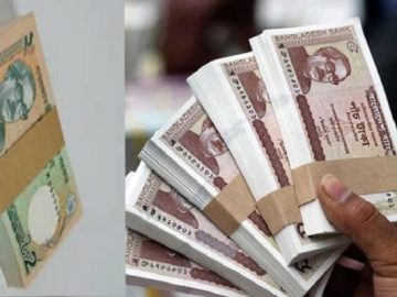 image-221283-1669632030bdjournal