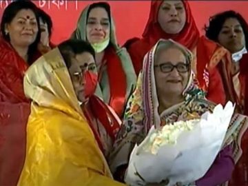 image-619556-1669455247