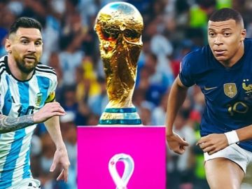 image-203359-1671070362