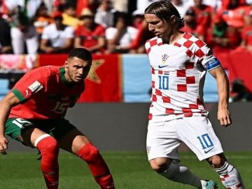 image-203365-1671074496