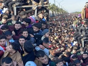 image-208013-1674126055