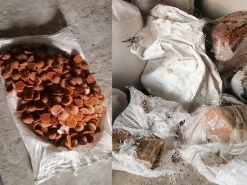 image-208020-1674127107