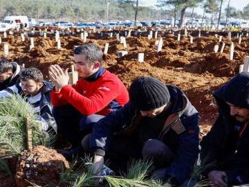 image-212556-1676718012