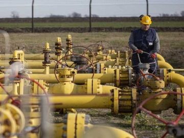 image-212580-1676728080