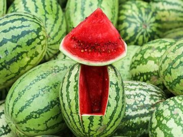 watermellon