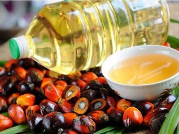 1624807189-1678267178