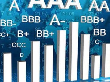 12281106-1-2304020524