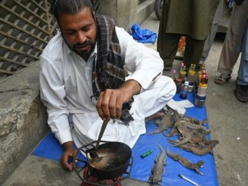 aphrodisiac-1682843100