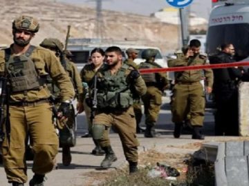 image-218926-1680885527