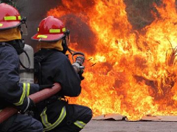 image-564457-1655731152