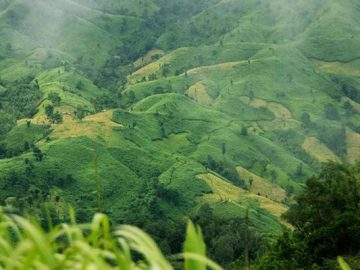 bandarban-646486190614a