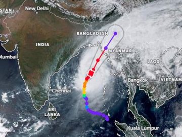 image-223179-1683961702