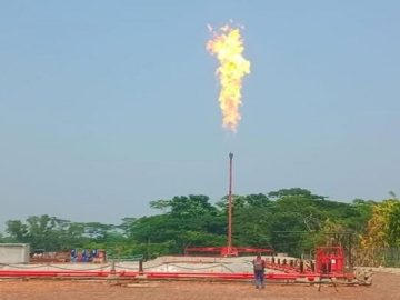 image-223438-1684146490