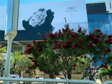 image-223571-1684233336