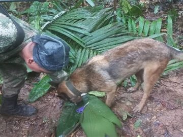 image-223784-1684390206