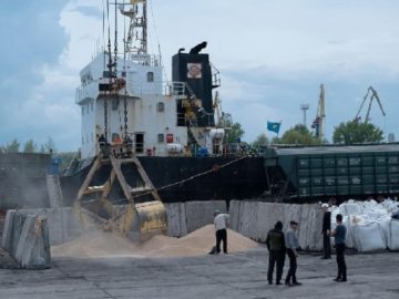 image-237833-1684391