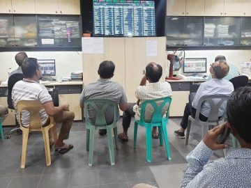 sharee-20230524153357