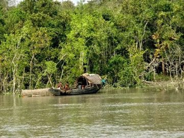 sundarban