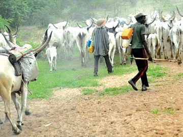 নাইজেরিয়া