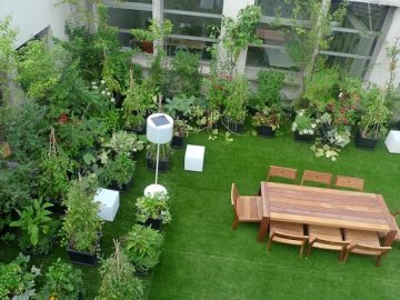 বাড়ির ছাদে বাগান