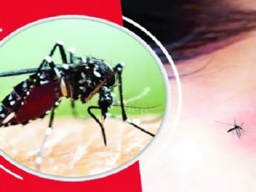 4bc05cb55da9bca698a62cebf0505e91