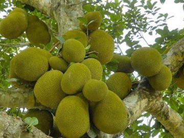 c5ba9370-1d8c-11ee-941e-23d1e9ab